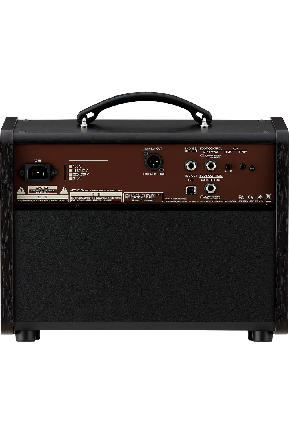 Boss Acoustic Singer Live 60W 2