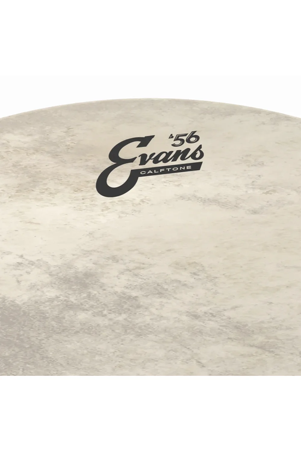 Evans BD22CT 2