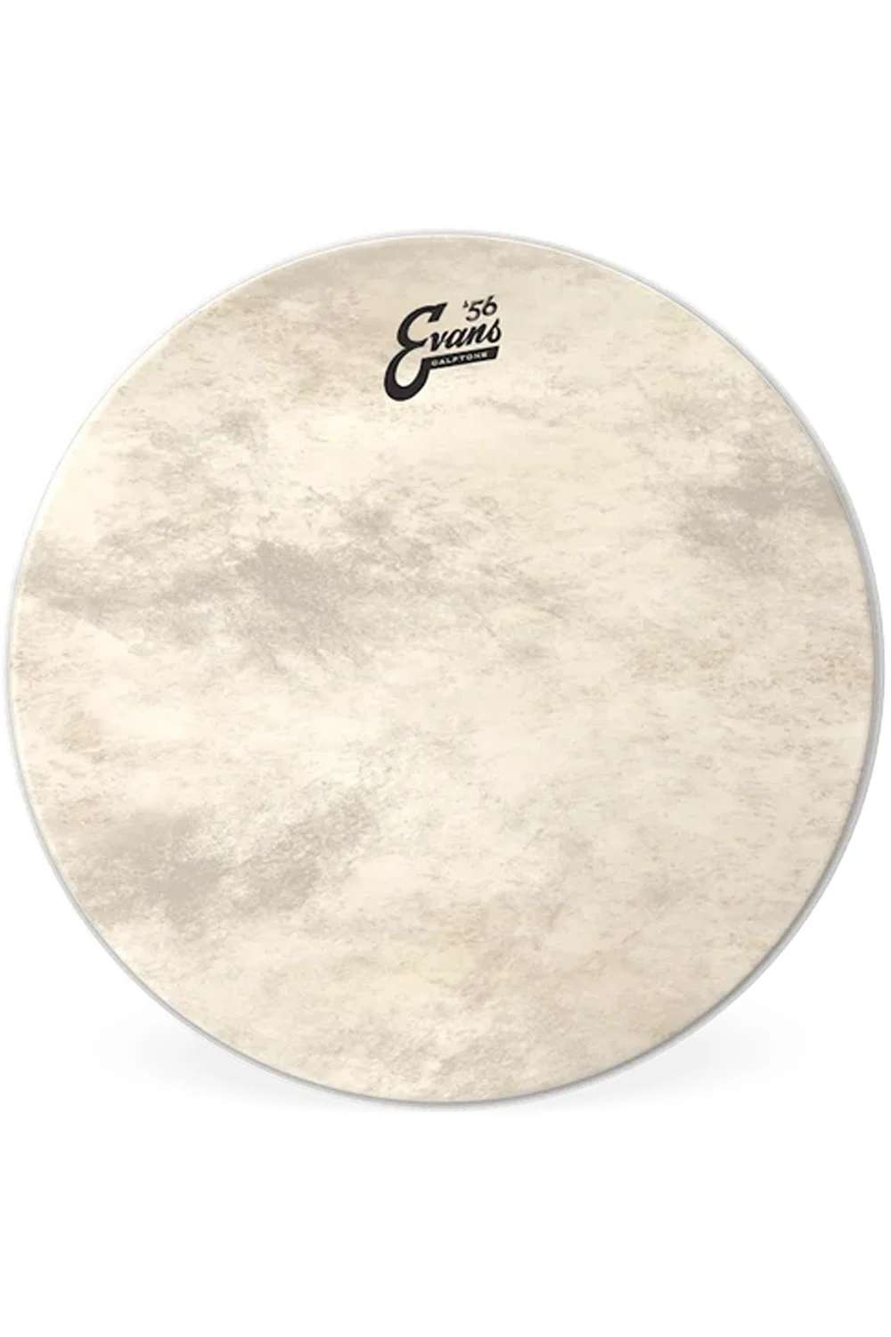 Evans BD22CT