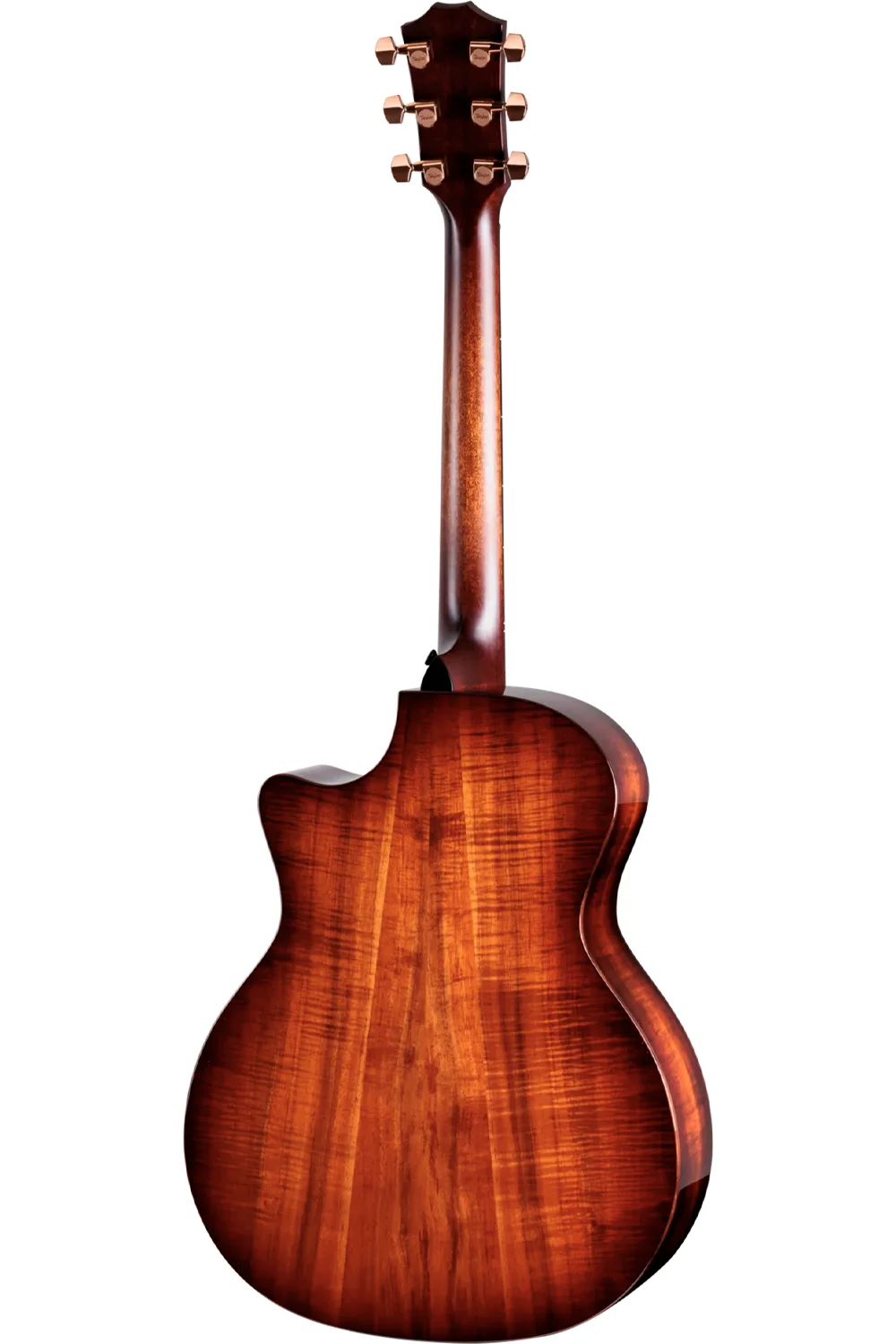Taylor K24CE 4